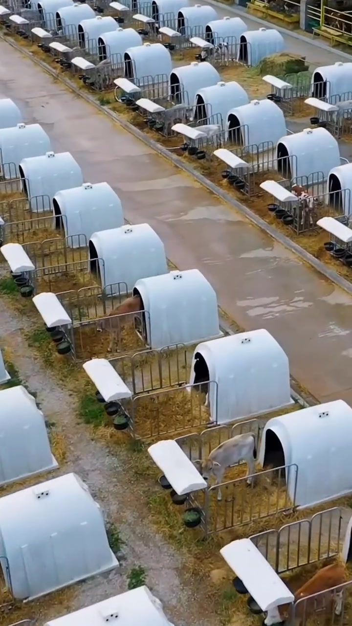 Konya TİGEM Gözlü Tarım İşletmesi'nden Örnek Üretim